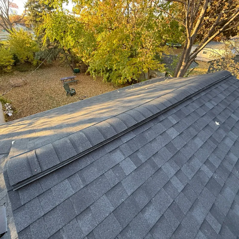 Roof Repair & Maintenance: 1