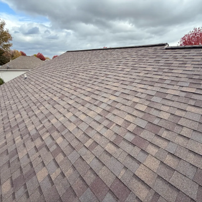 Roof Repair & Maintenance: